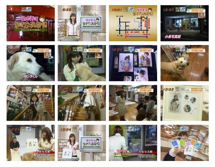テレビ